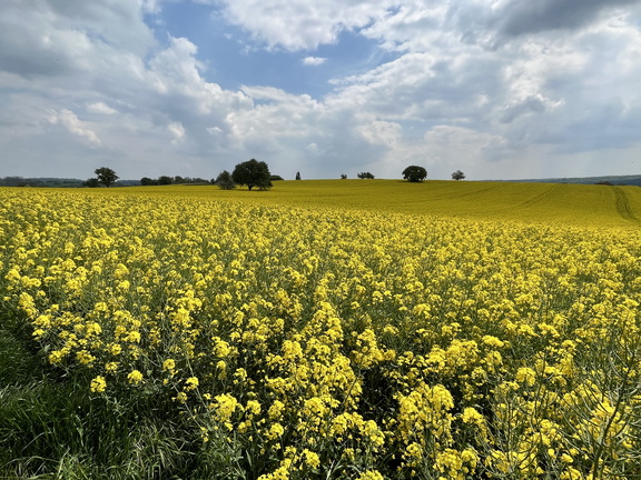 22-05-02 13-44-30 0728